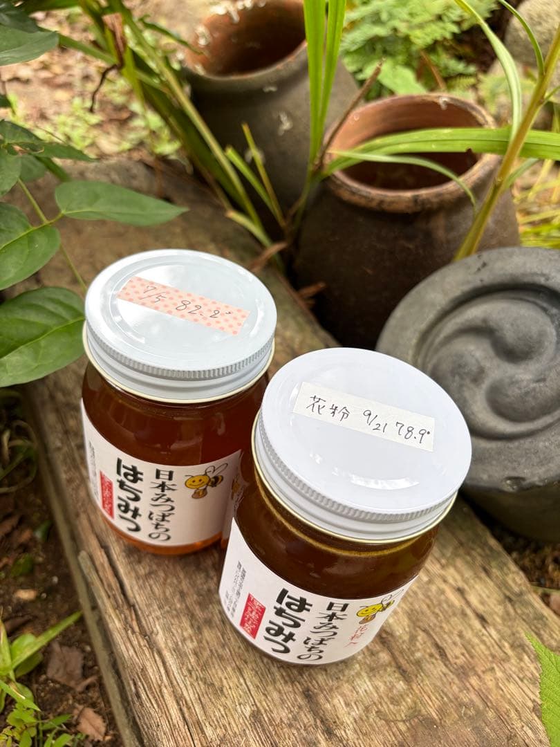 はちみつ　日本蜜蜂のハチミツ　奥山の奥の蜂蜜と花粉入りのはちみつ