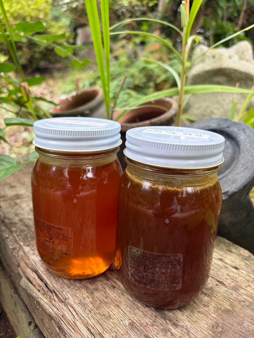 はちみつ　日本蜜蜂のハチミツ　奥山の奥の蜂蜜と花粉入りのはちみつ