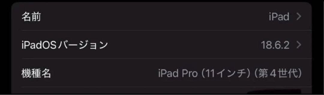 iPadPro11インチ第4世代256GB WiFi + Cellularモデル