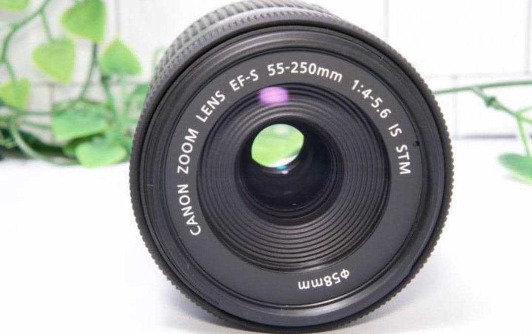 【望遠レンズ】Canon EF-S 55-250mm IS STM