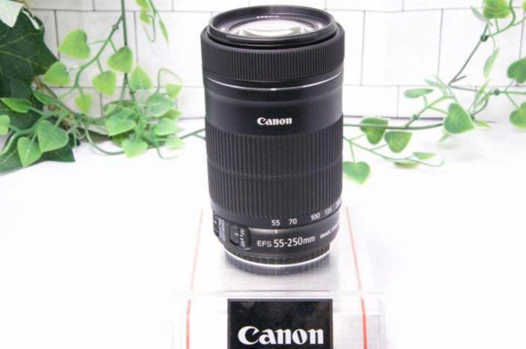 【望遠レンズ】Canon EF-S 55-250mm IS STM