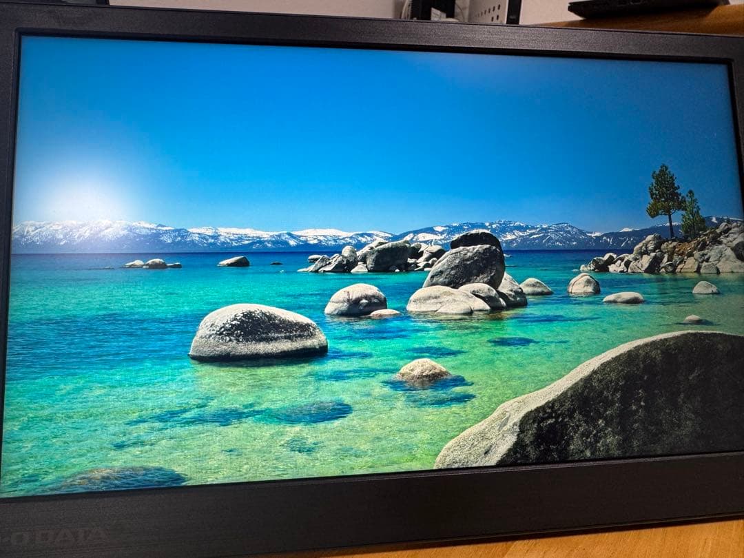 【中古美品】I-O DATA CF131X 13.3インチディスプレイ