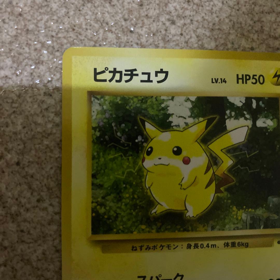 ピカチュウ ● 第2弾拡張パック ポケモンジャングル