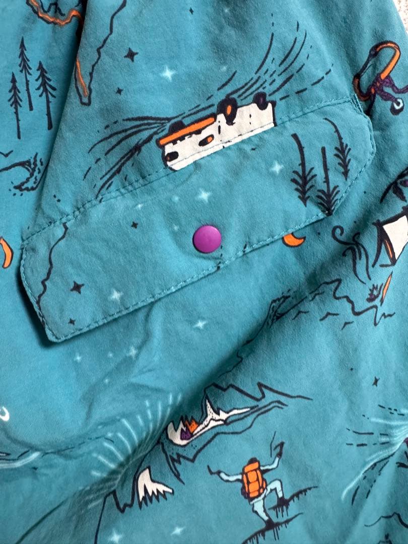 Patagonia バギーズショーツ 5インチ 限定モデル