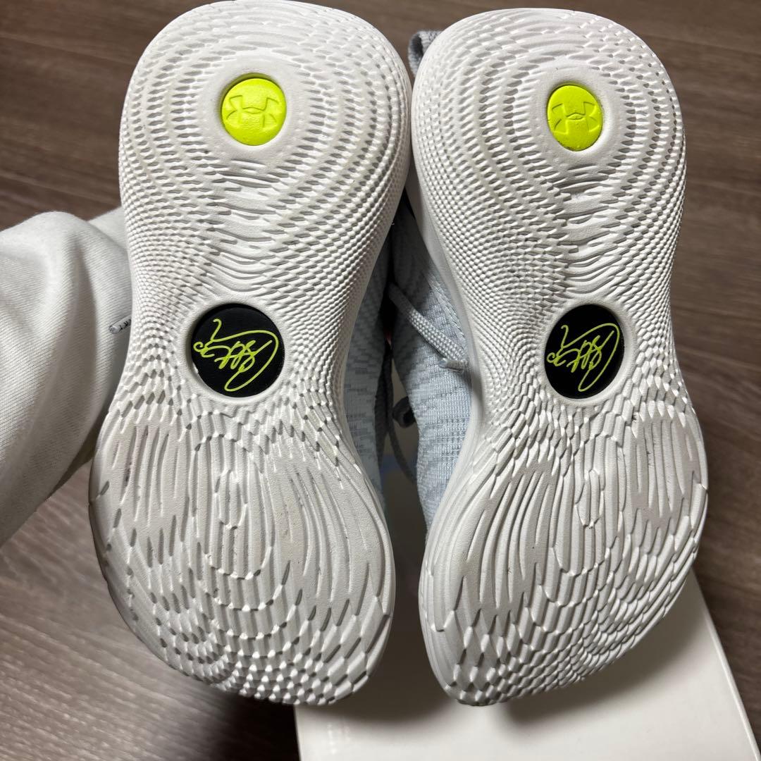 カリー12 【22.5㌢】