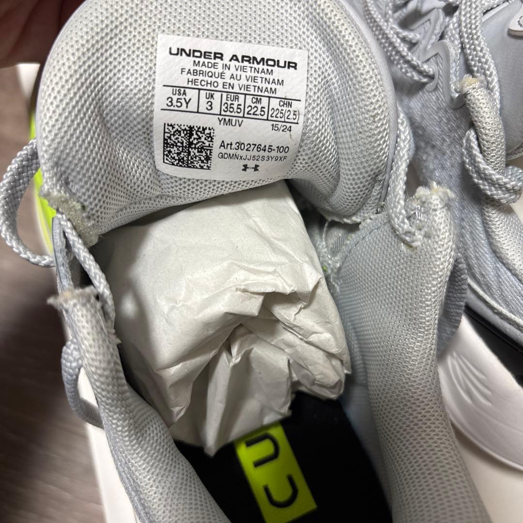 カリー12 【22.5㌢】