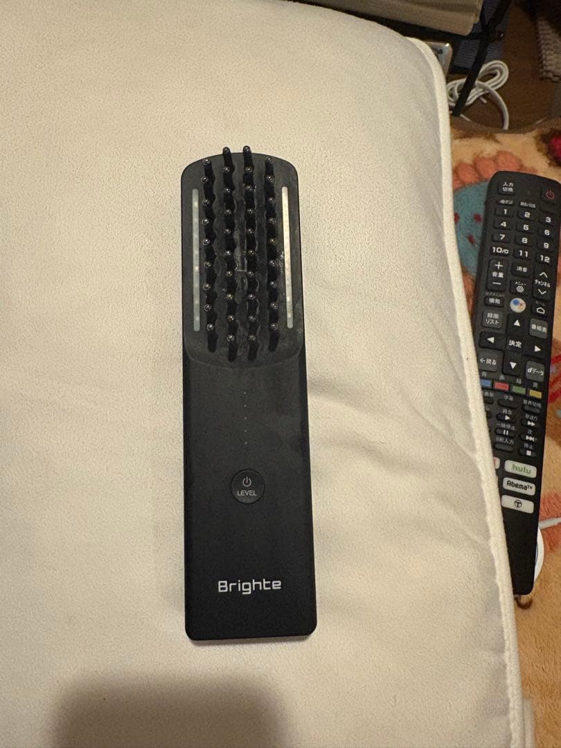 Brighte ELEKIBRUSH 美顔器（旧型）