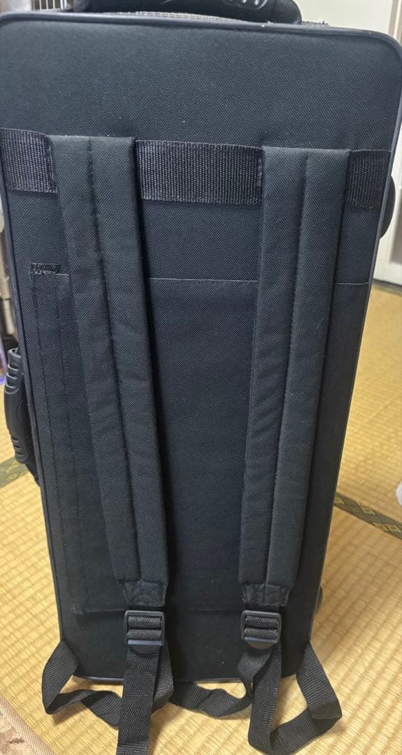 ケルントナー アルトサックス ケース付き