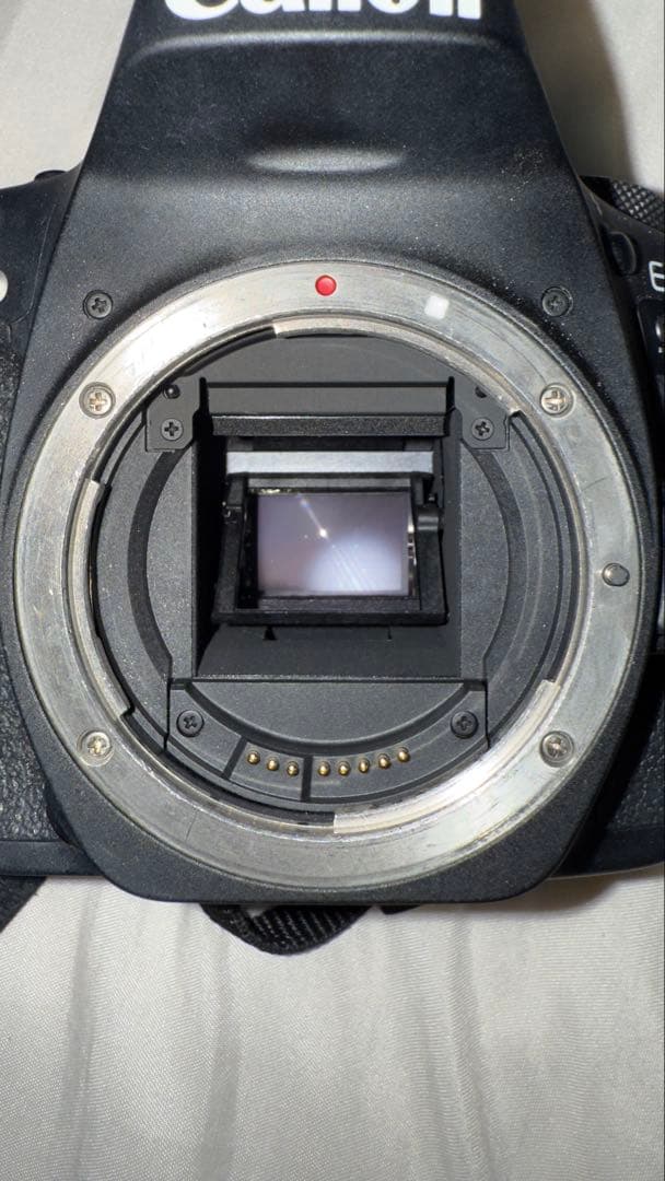 Canon 90D ボディ レンズ付き