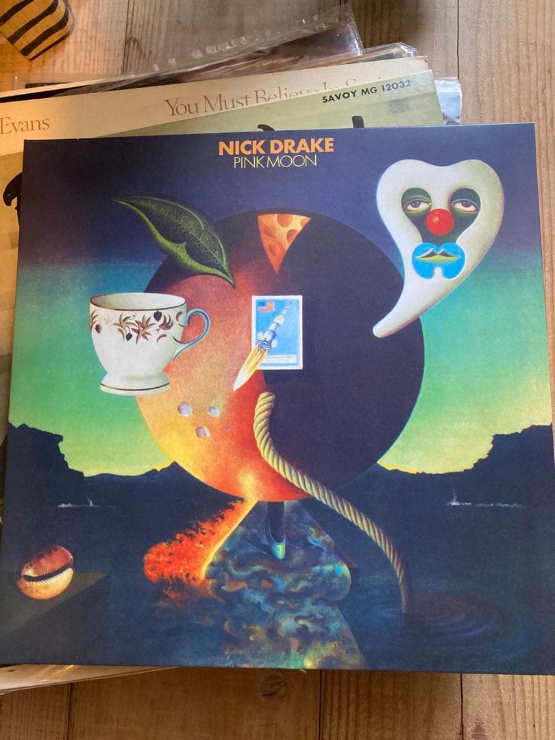 Nick Drake - Five Leaves Left LP ➕1枚