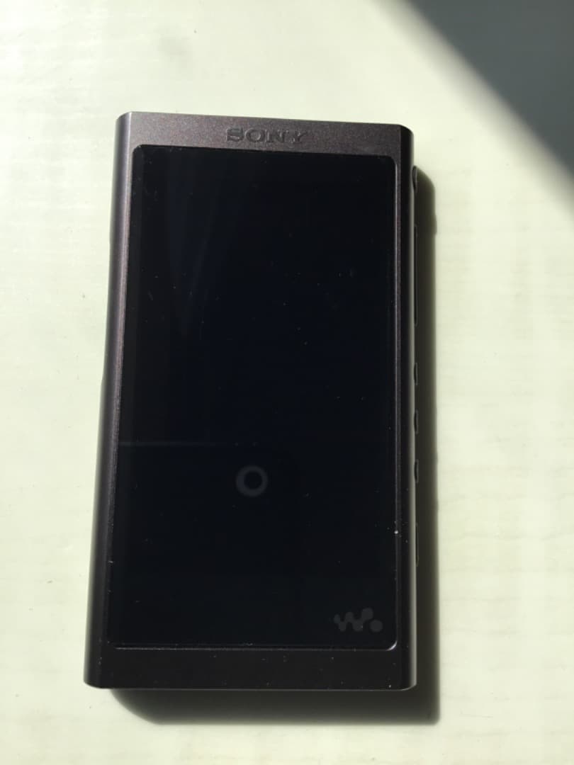 SONY NW-A55 デジタルオーディオプレーヤー、純正ケース付き