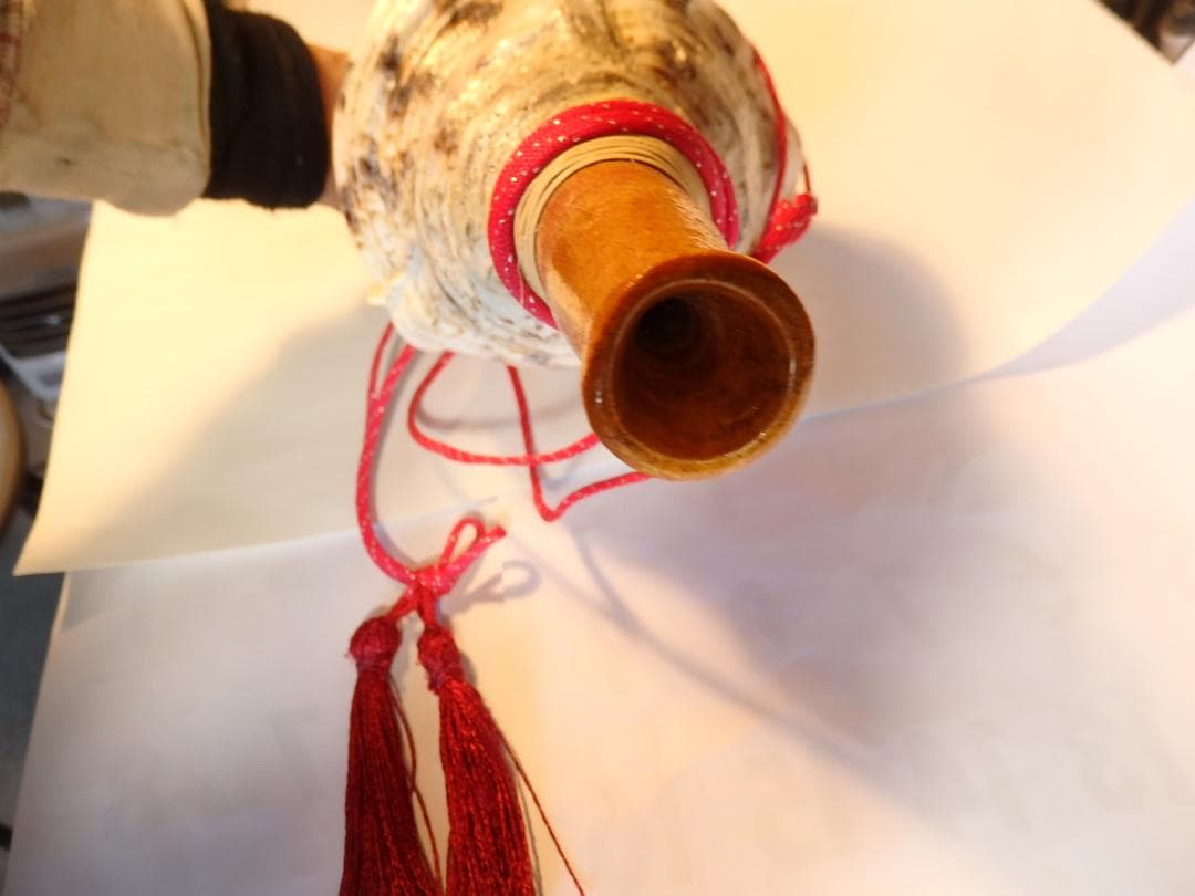 法螺貝 約40㎝ 木製歌口,赤紐付　新品　 MH-440