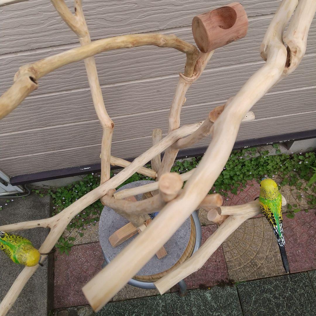 小鳥の楽園バードアスレチックツリージム