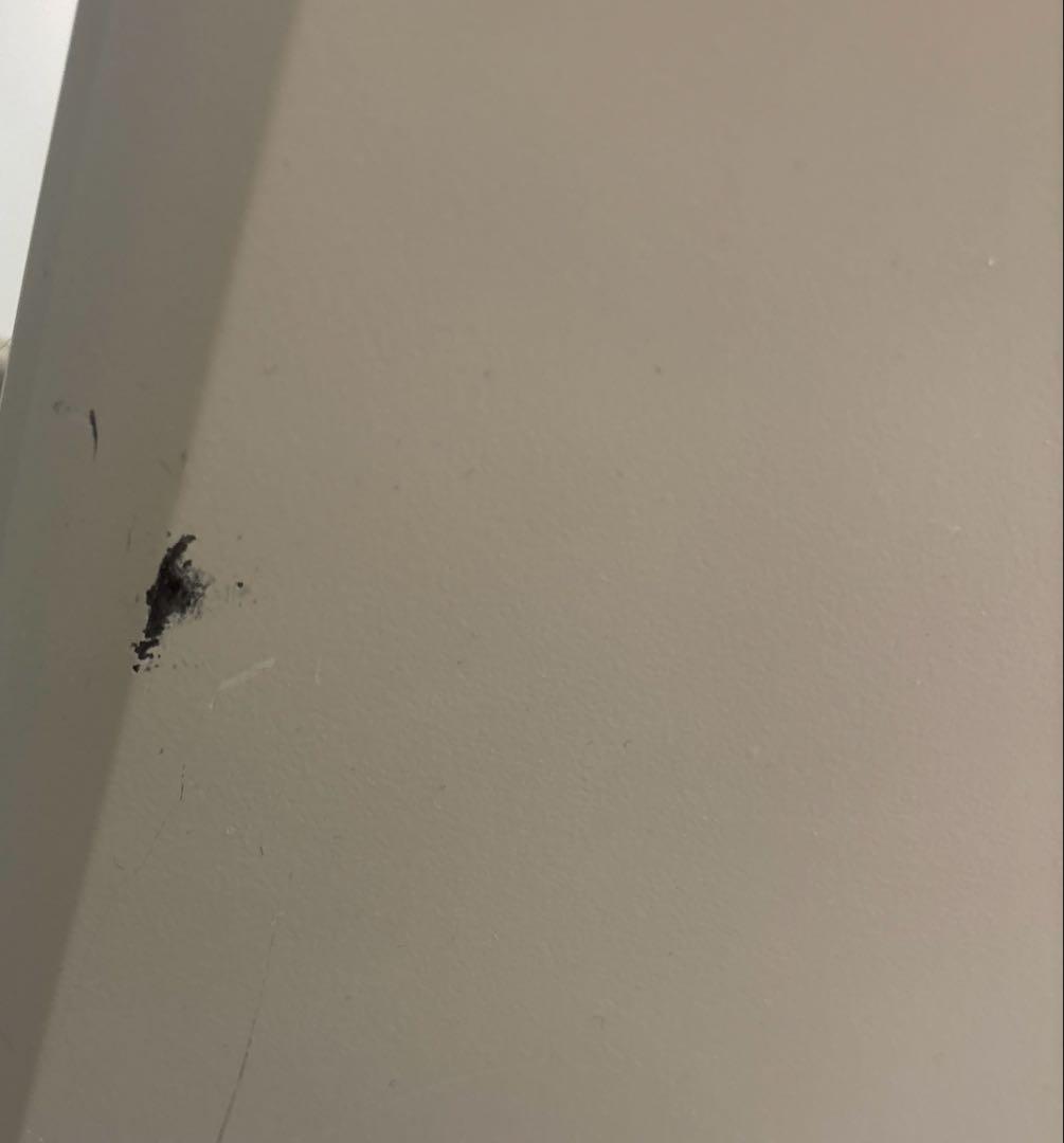 Iwatani ガスファンヒーター 風暖　2個セット