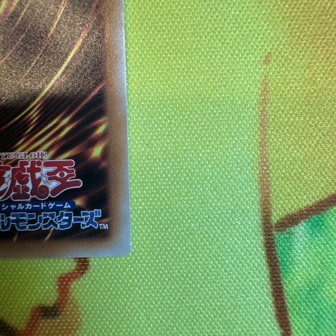 遊戯王 青眼の白龍 絵違い クオシク　ブルーアイズ 25th イラスト違い