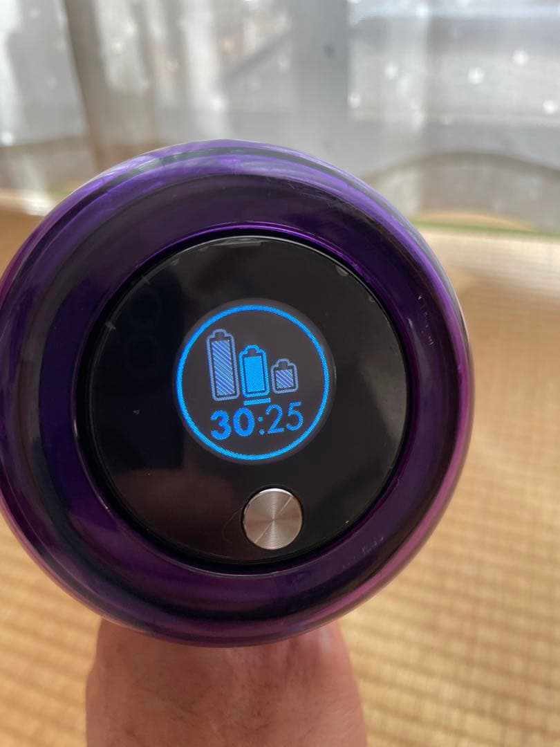 dyson ダイソンsv14