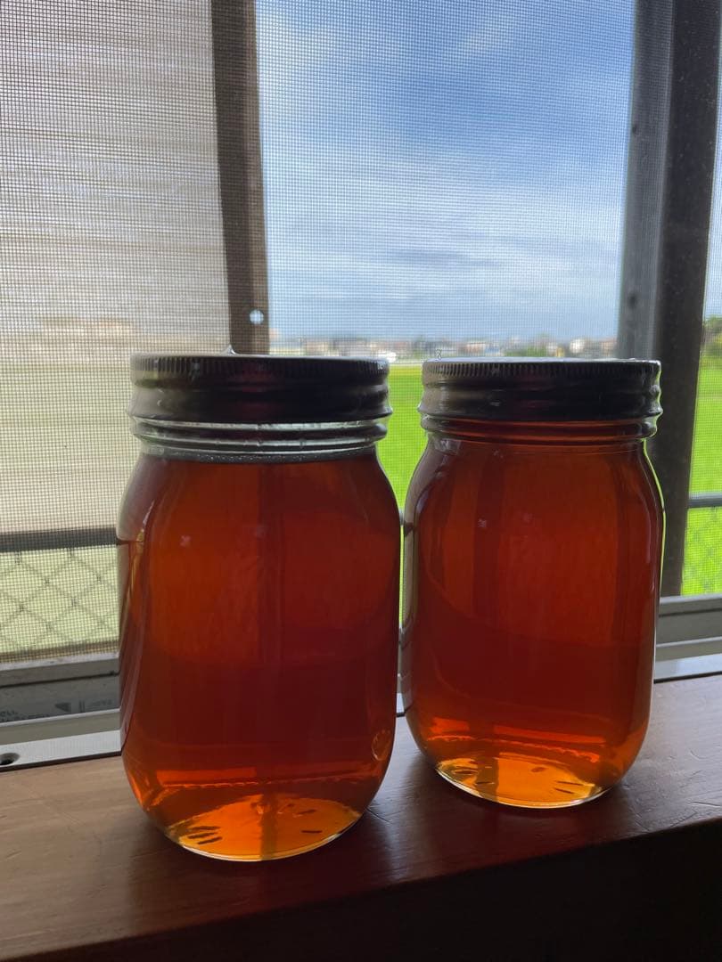 令7年　しぼりたて生蜂蜜620g✖️2(ケンポナシ)