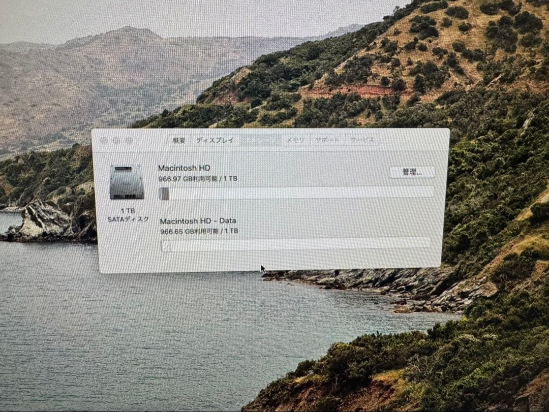 iMac (27-inch, Late 2013) メモリ16GB Apple