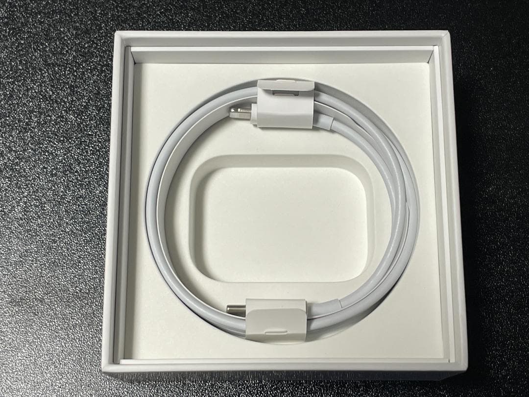 美品 Apple AirPods Pro(第2世代) Lightning+おまけ