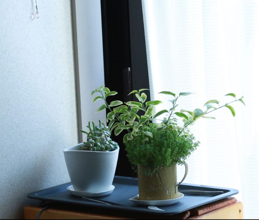 レンズ(ズーム) ZOOM LENS EF 100-400mm 1:4.5-5.6 L IS