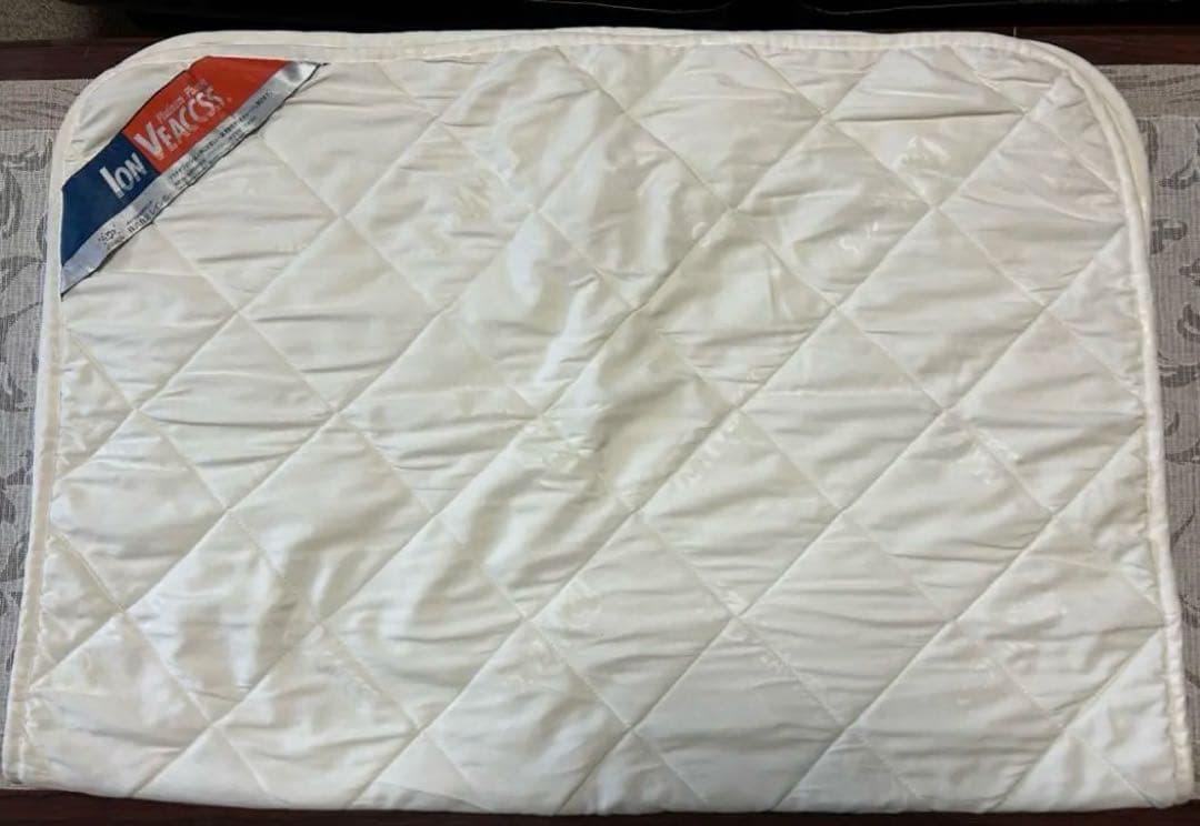 株式会社レインボーイオンビックスケット