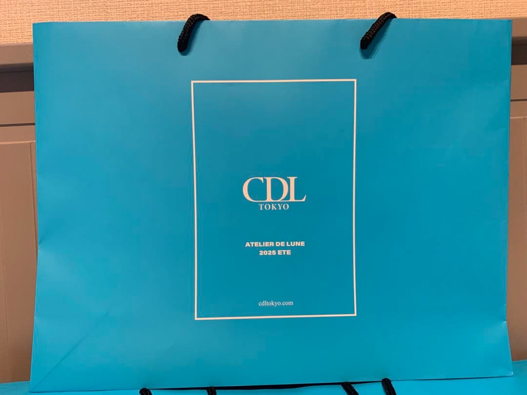 新品　CDL Hand Stitched Mini Basket ショッパー可