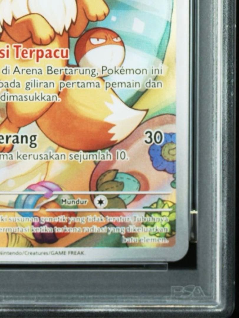 【インドネシア版】イーブイプロモ　インドネシア