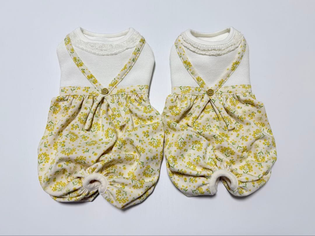 サラダページです　ダックスフンド　犬服　わんこ服　ロンパース　ミモザ　春