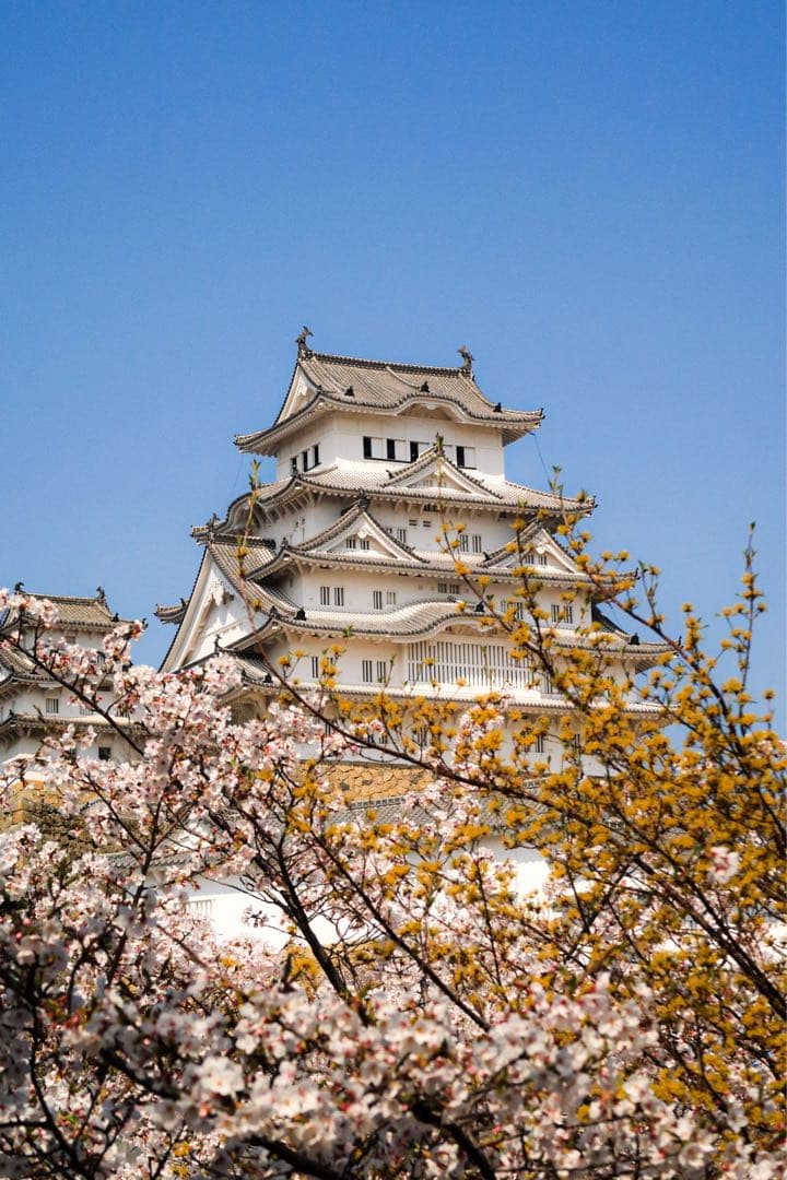 Canon PowerShot G7 X Mark II 本体　美品