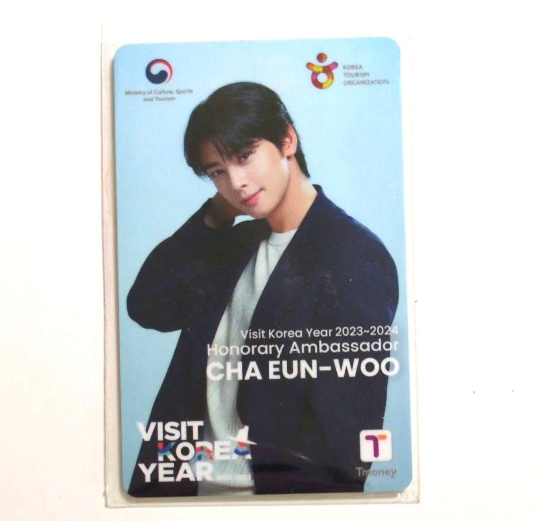 おまけ付き!チャウヌ Tmoneyカード Visit Korea