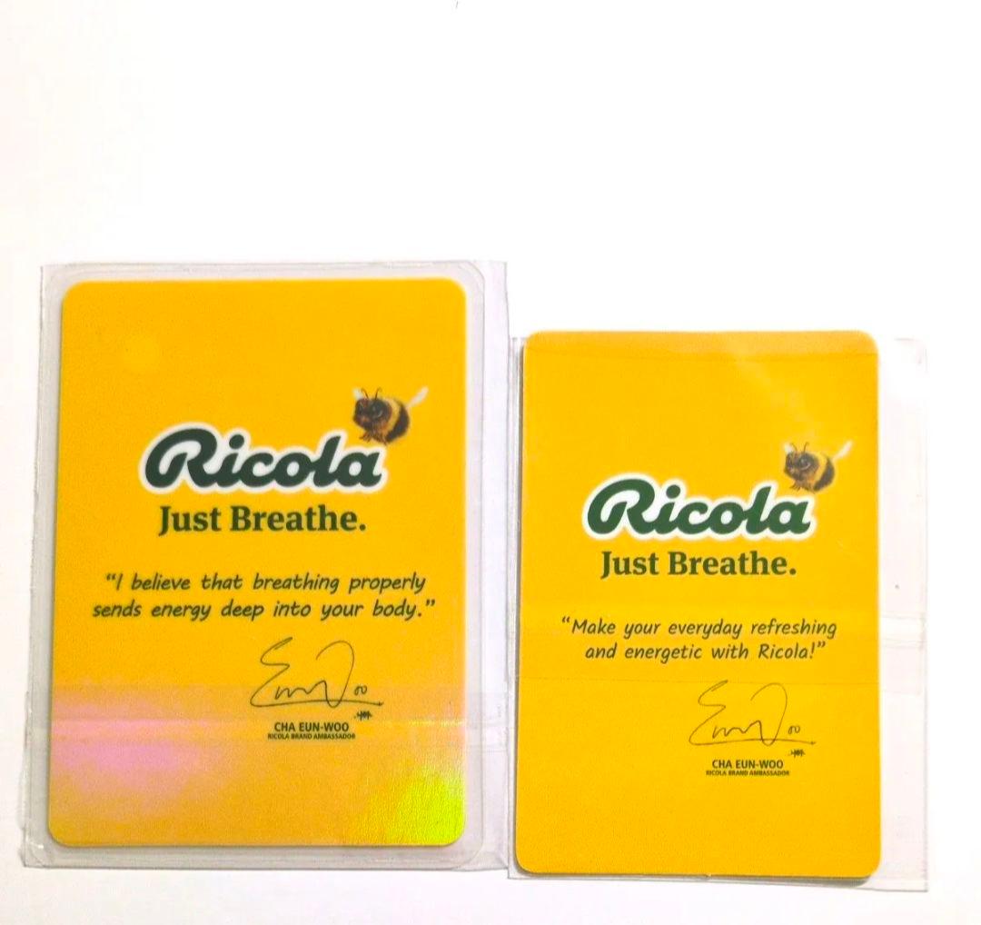 おまけ付き!チャウヌ Tmoneyカード Visit Korea