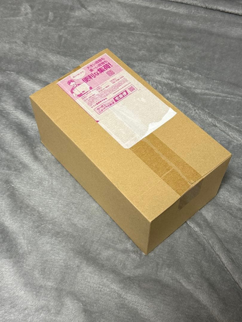 【新品未開封】ポケモンセンター トウホク スペシャルBOX ポケモン公式より購入