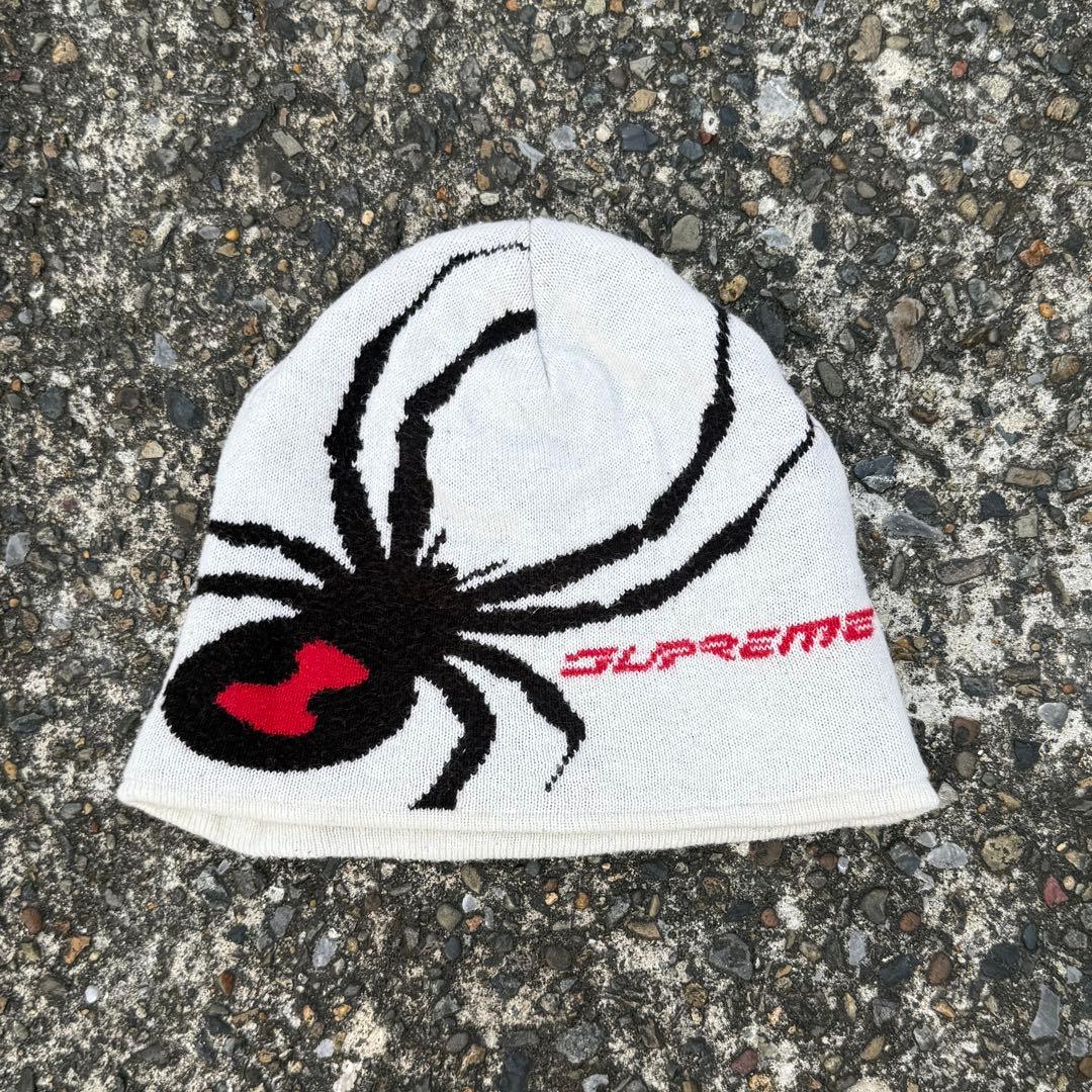 たいすけさん専用 sup spyder ビーニー