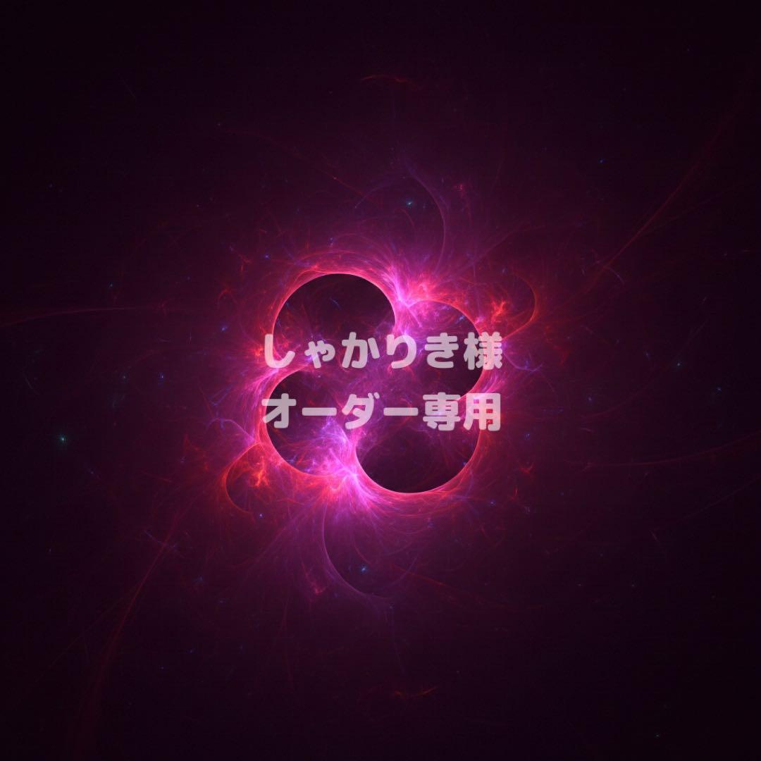 しゃかりき様 オーダー専用