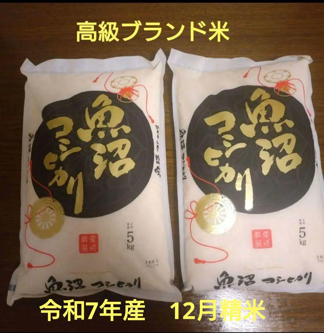 魚沼産　コシヒカリ　新米　10kg　　　 25年12月精米