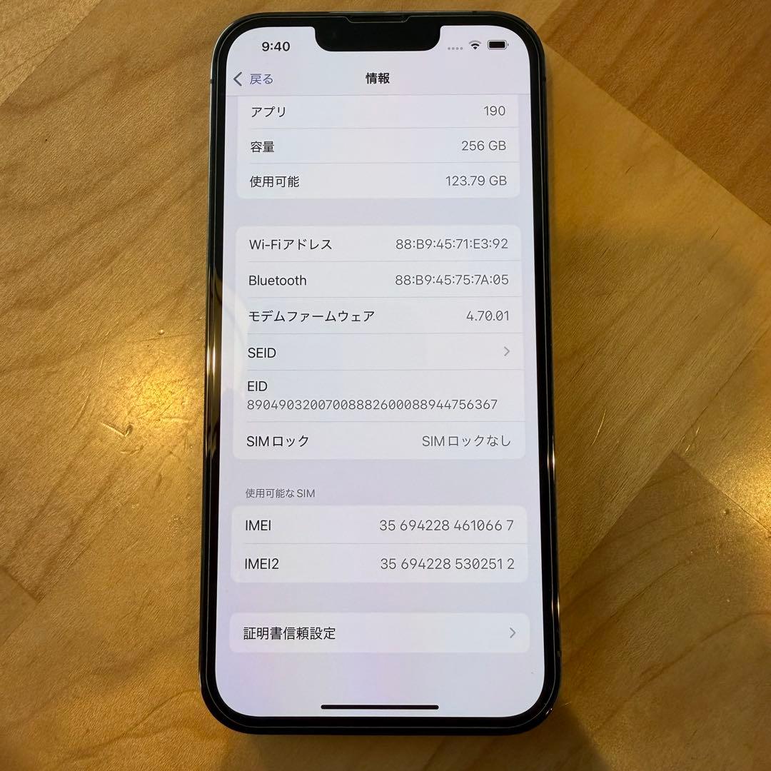 Apple iPhone 13 Pro 256GB グラファイト 備品付属