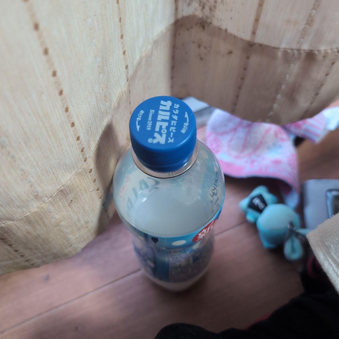 アサヒ飲料 19カルピスソーダPET500