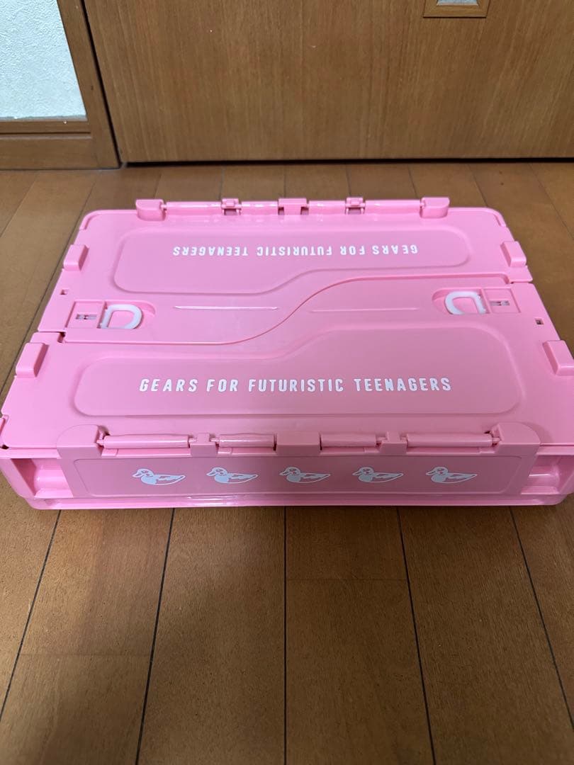 humanmade ヒューマンメイド コンテナ ピンク　20L