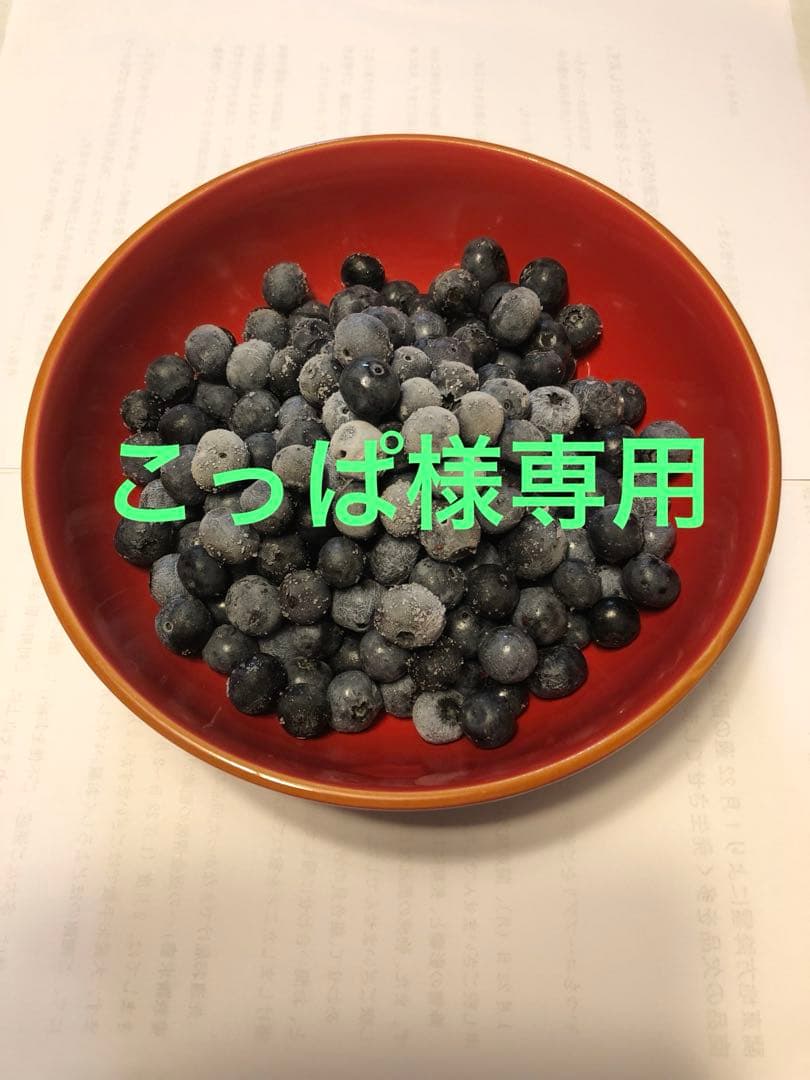 埼玉県産　令和7年度 冷凍ブルーベリー