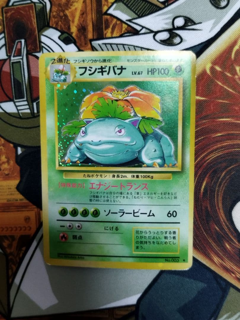 フシギバナ　リザードン　カメックス 旧裏★ 第1弾拡張パック　まとめ売り