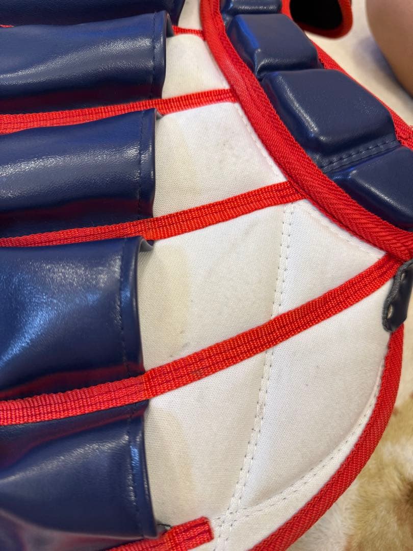 ハタケヤマ軟式キャッチャー防具プロテクター一般用