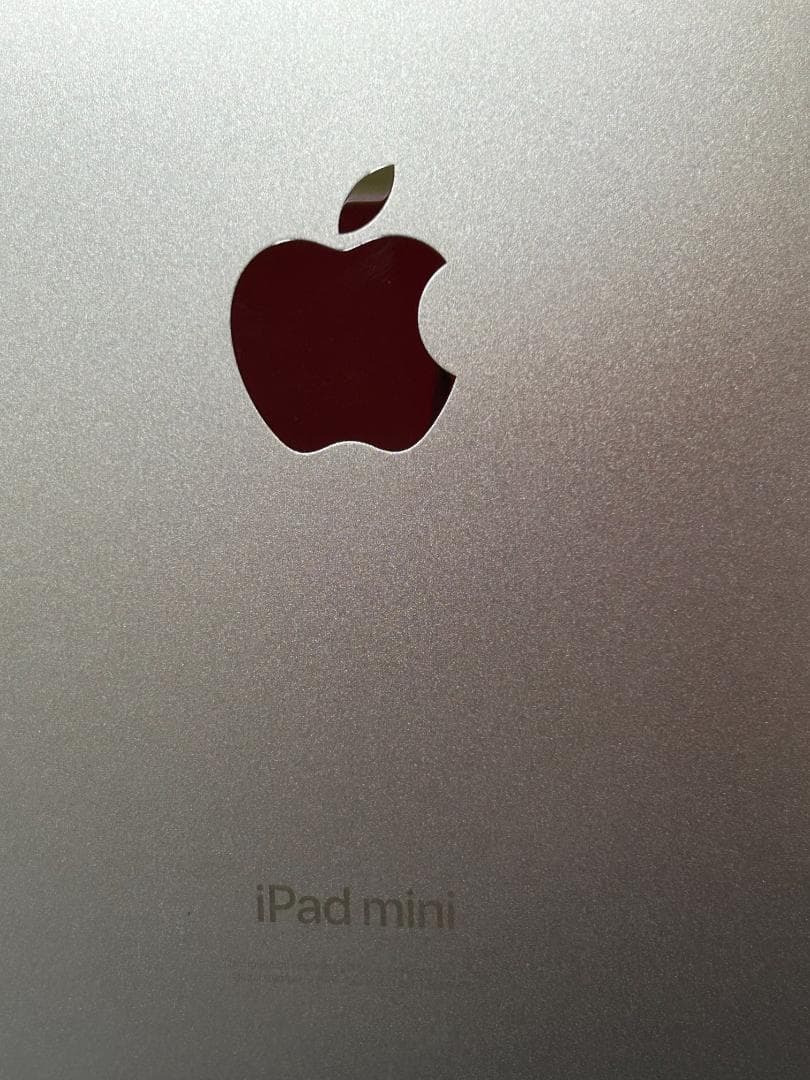 iPad mini Wi‑Fi + Cellular 128GB Aケア加入済み