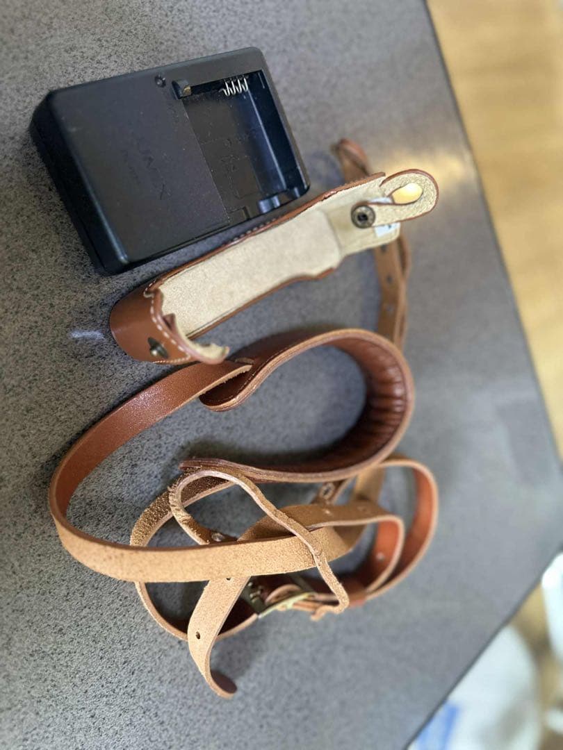 Panasonic LUMIX DMC-GF7 ミラーレ ス一眼