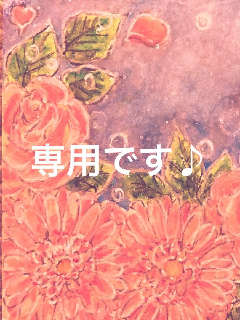 専用です(๑>◡<๑)