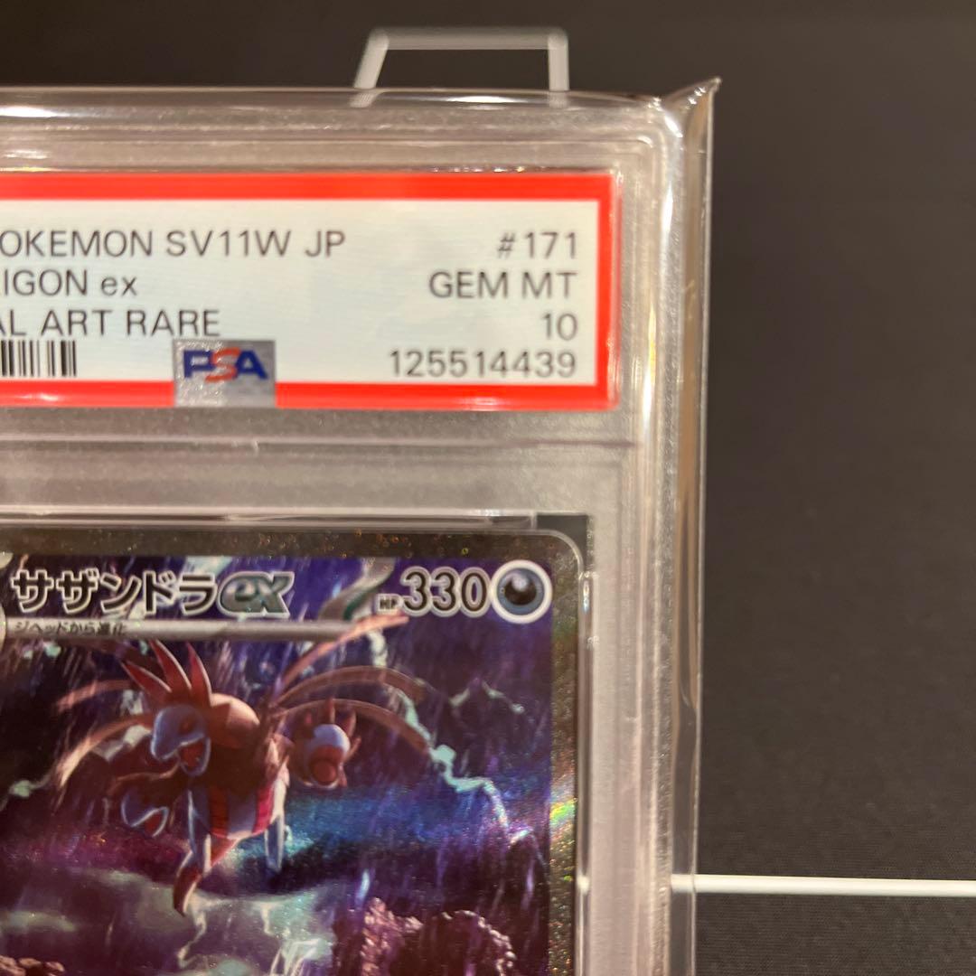 サザンドラex SPECIAL ART RARE PSA 10