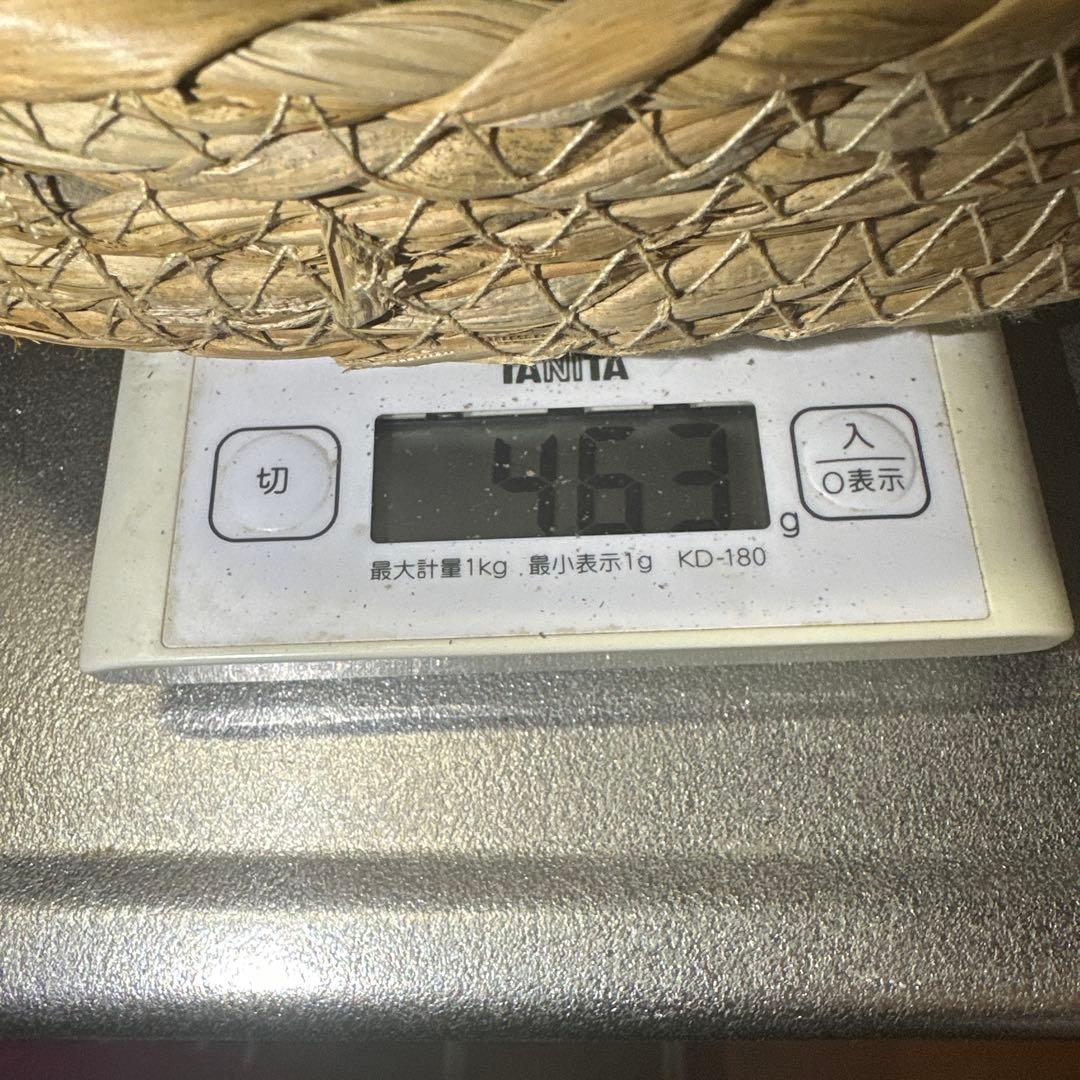 国産天然松茸‼️10／13朝採れ‼️460g‼️