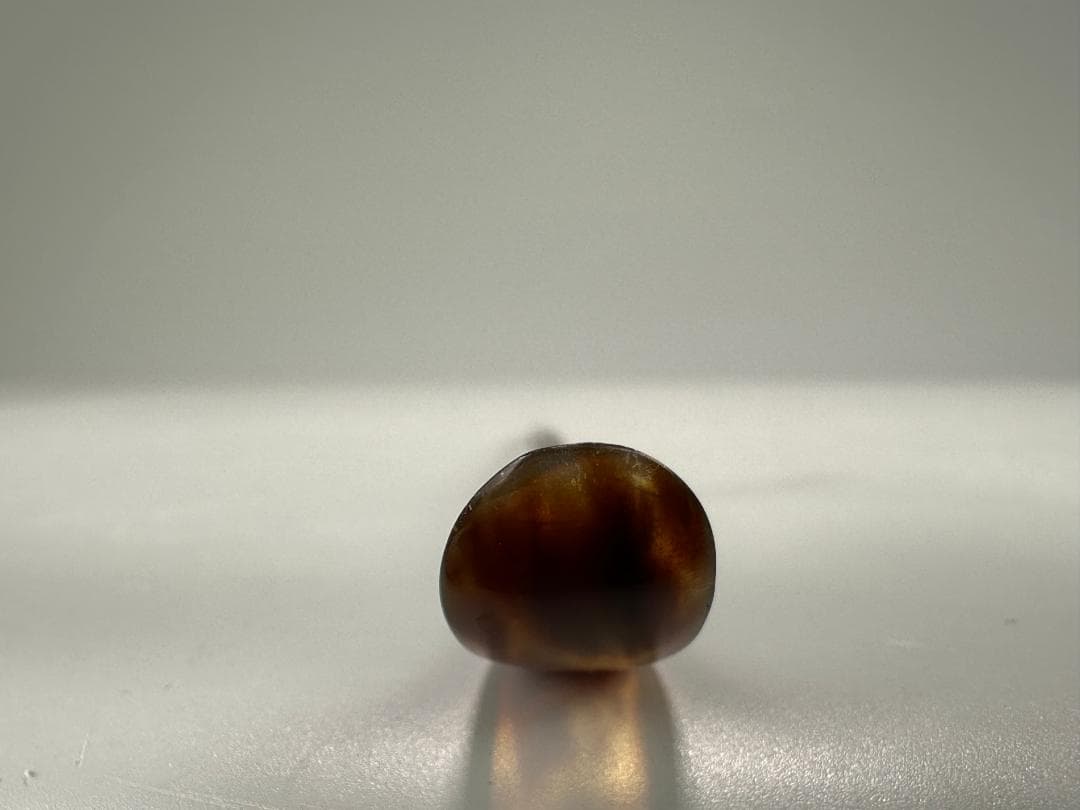 べっこう　鼈甲　茶道具　茶杓