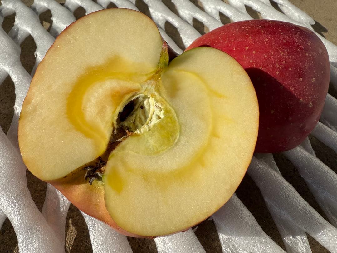 【すみちゃん】長野県産サンふじ　5kg×3箱