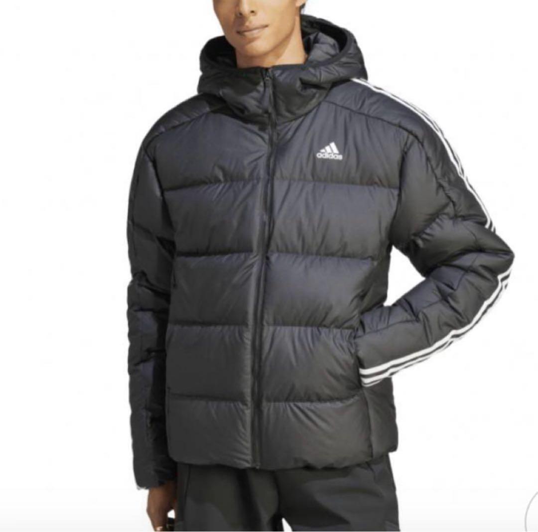 ポインコ弟様　メンズ　フーディダウン　アウター　ブラック　軽量　撥水　M