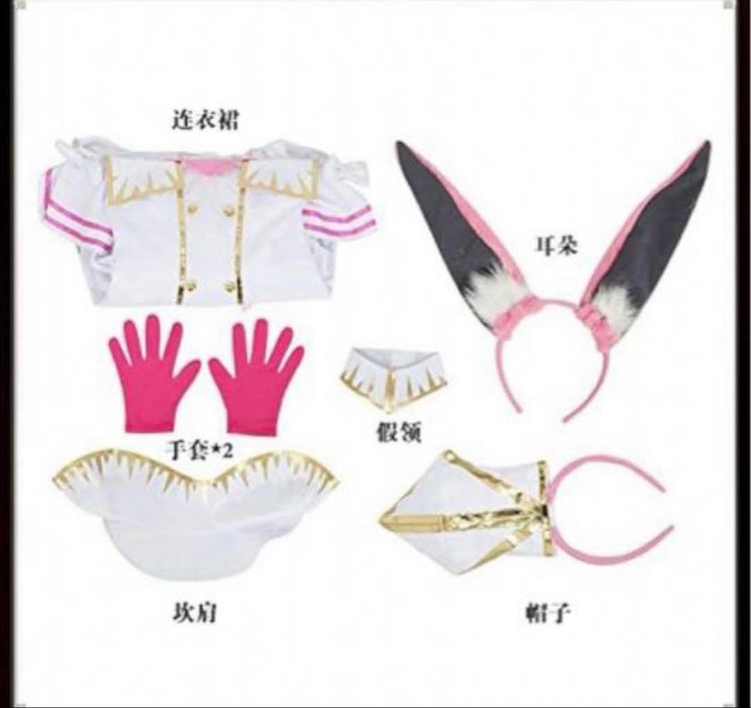 Ｋ*様 FGO 光のコヤンスカヤ　コスプレ　フルセット